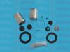 AUTOFREN SEINSA D41581C Repair Kit, brake caliper